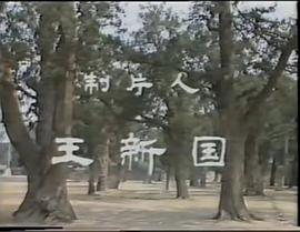 啼笑因緣 圖7