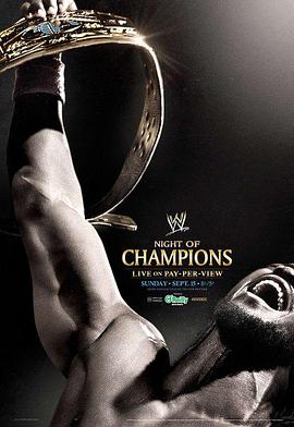 WWE:冠军之夜 2013 图2