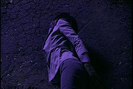 職業(yè)女特工 圖3