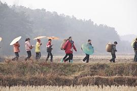 成长路上洒满阳光开头 图2