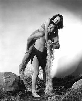 泰山和美人魚 圖6