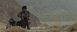 藏语电影全部在哪里看 图5