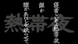 熱帶夜 圖6