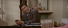 黑鷹 圖5