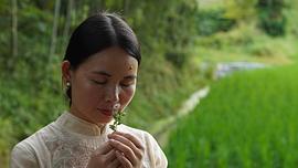 密語者 圖2