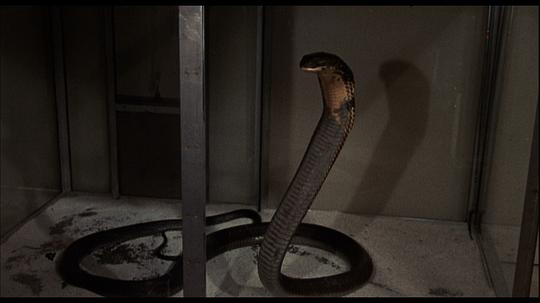 把人变成蛇的实验电影叫什么