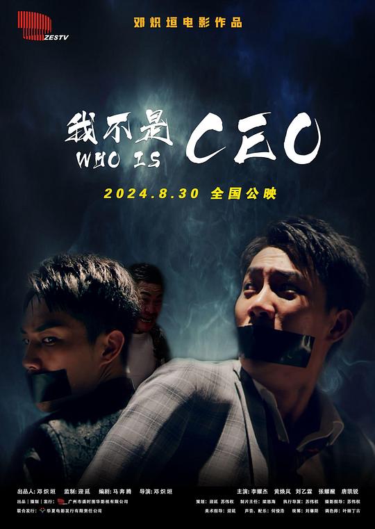 我做CEO的八年