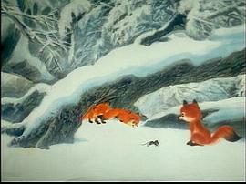 雪狐 圖3