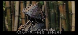 熱帶驚雷 圖5