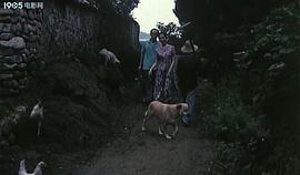 父子婚事 圖10