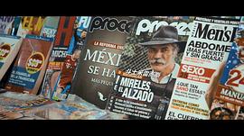 墨西哥毒品最经典的电影 图9