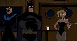 蝙蝠侠与哈莉·奎恩 图8