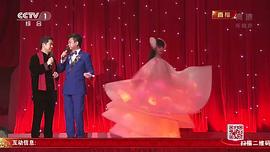 2014年中央电视台春节联欢晚会 图2