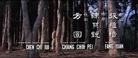 鳳飛飛 圖6