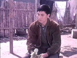 山村新人 圖3