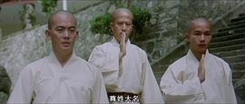少林寺传奇电影免费观看高清 图10