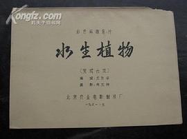 水生植物 圖1