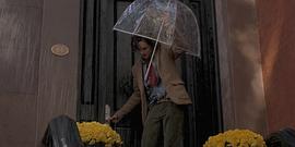 纽约的一个雨天电影简介 图9