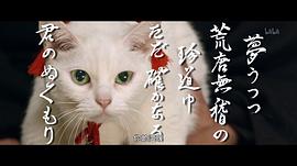 猫侍剧场版 图6