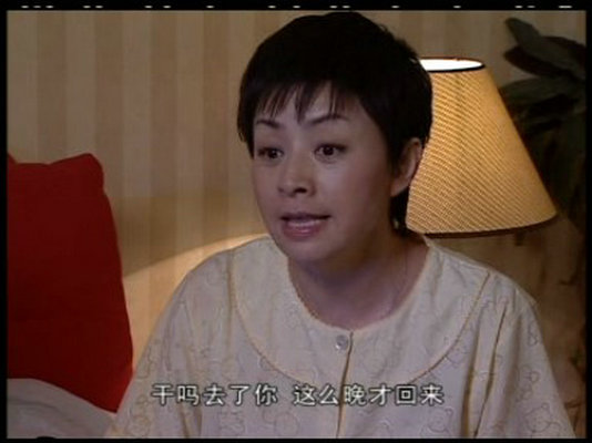 家有兒女第四部目錄表