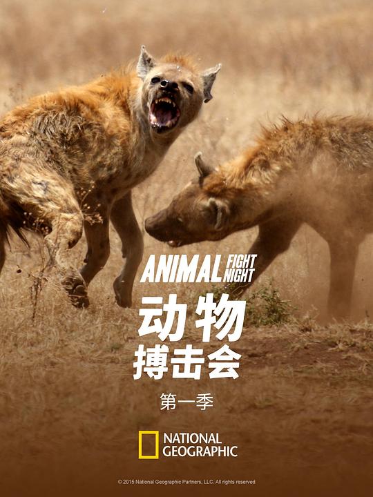 搏擊傷害