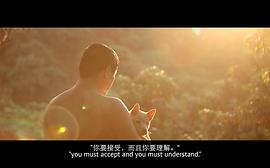 從黑夜到白天 圖5