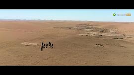 大漠追凶电影免费观看 图6