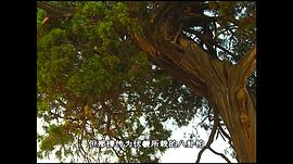 河之南 圖2