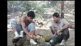 奪寶俏佳人 圖1