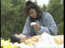 蓮花爭(zhēng)霸 圖9