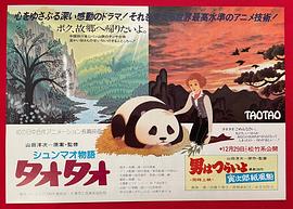 熊貓的故事 圖9