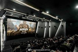 猩球崛起：新世界 图9