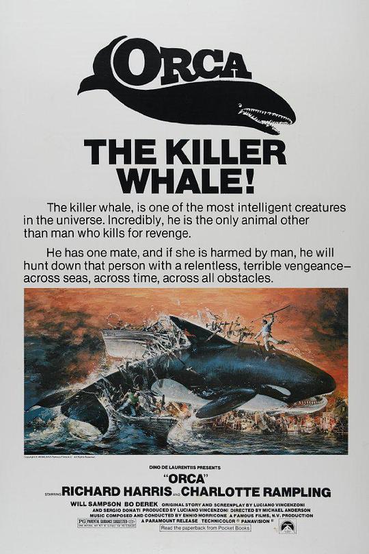 鲸鱼的复仇