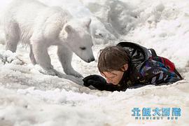 北极大冒险中文版电影完整版 图4