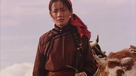 黑駿馬 圖5