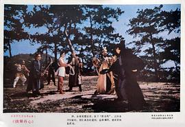 俠骨丹心劇情介紹 圖3