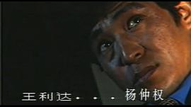 人皮 圖8