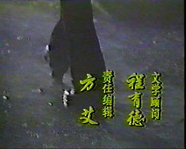 早安白桦林 电视剧 图2