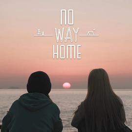 NO WAY HOME 图2