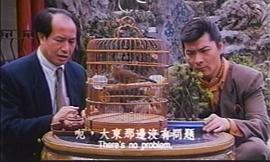 1999年警网雄风电视剧下载 图3