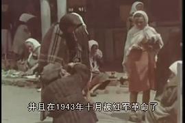 彩色第三帝國 圖2