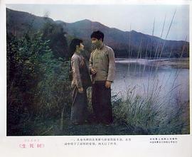 生死樹 圖7