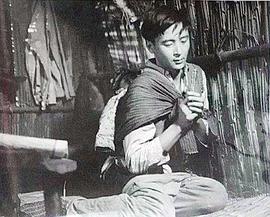 南行記 圖7