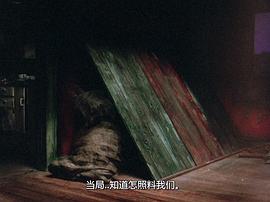 當(dāng)風(fēng)吹起的時(shí)候 圖1