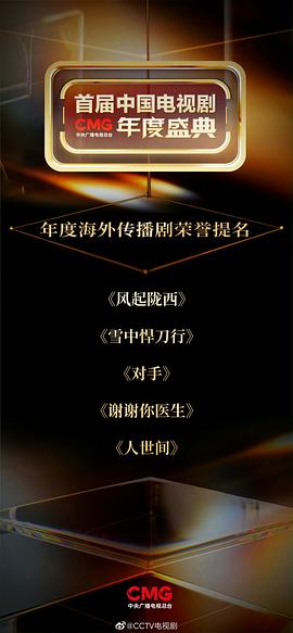 中央廣播電視總臺第1屆中國電視劇年度盛典 圖4