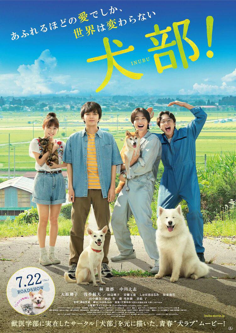 犬部！