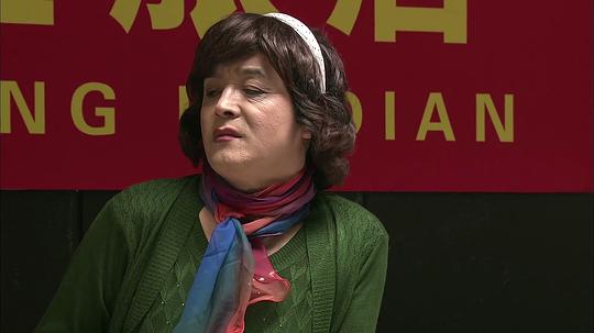 鄉(xiāng)村愛(ài)情變奏曲劇情