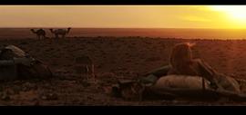 沙漠鸵鸟电影免费观看 图6