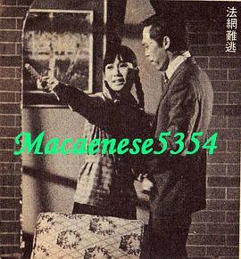 法網(wǎng)難逃 圖2