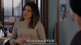 芝加哥警署 第四季 圖3